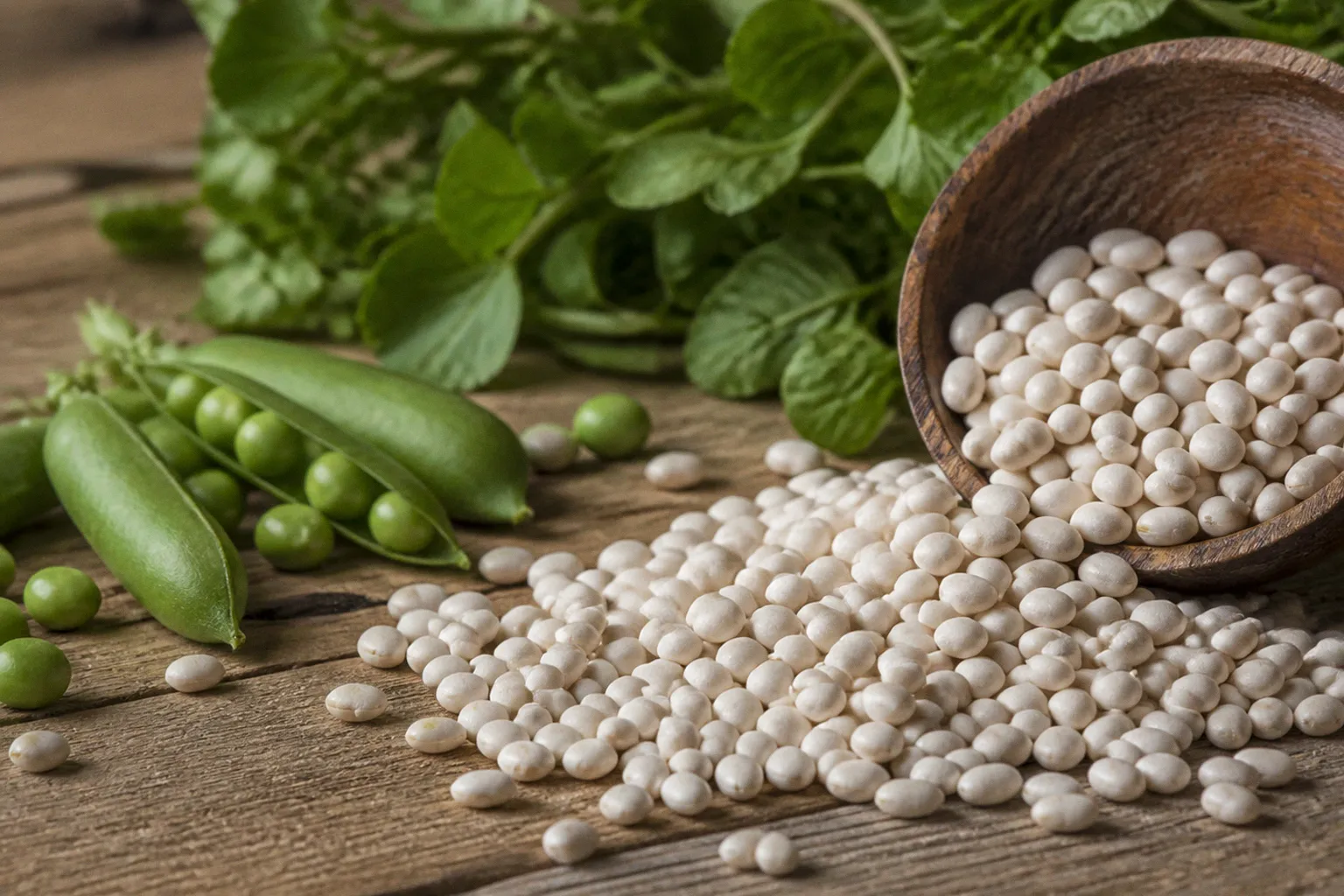 L-Carnitina y el efecto rebote: Gestión eficiente de suplementos
